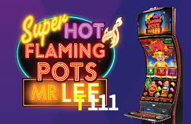 PIX Instantâneo T111